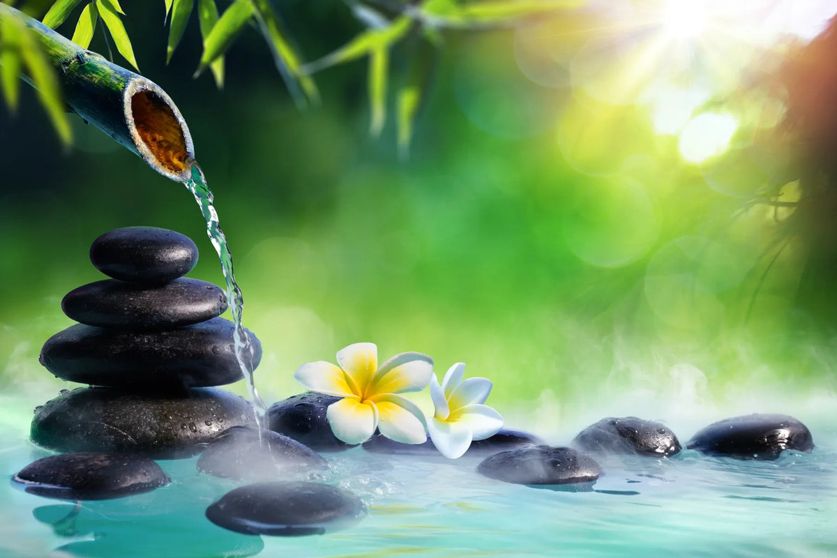 Küchenrückwand Bambusbrunnen mit Frangipani auf schwarzen Steinen - Schön und Wieder