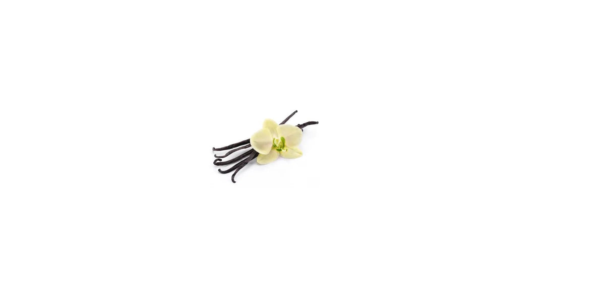Küchenrückwand Vanilleschoten mit Blüte (Freisteller) - Schön und Wieder