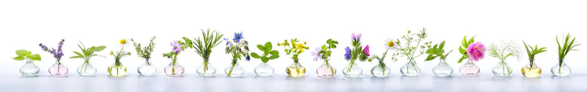 Küchenrückwand Wildblumen in Glasvasen - Schön und Wieder
