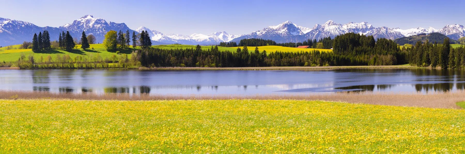 Badewannenrückwand Allgäu- mit See und Alpen - Schön und Wieder