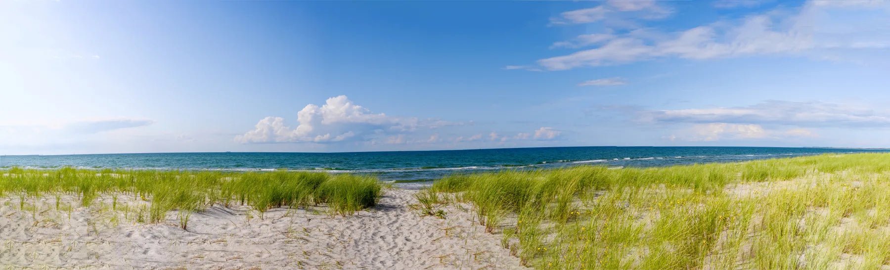 Badewannenrückwand Düne mit Strandhafer - Schön und Wieder