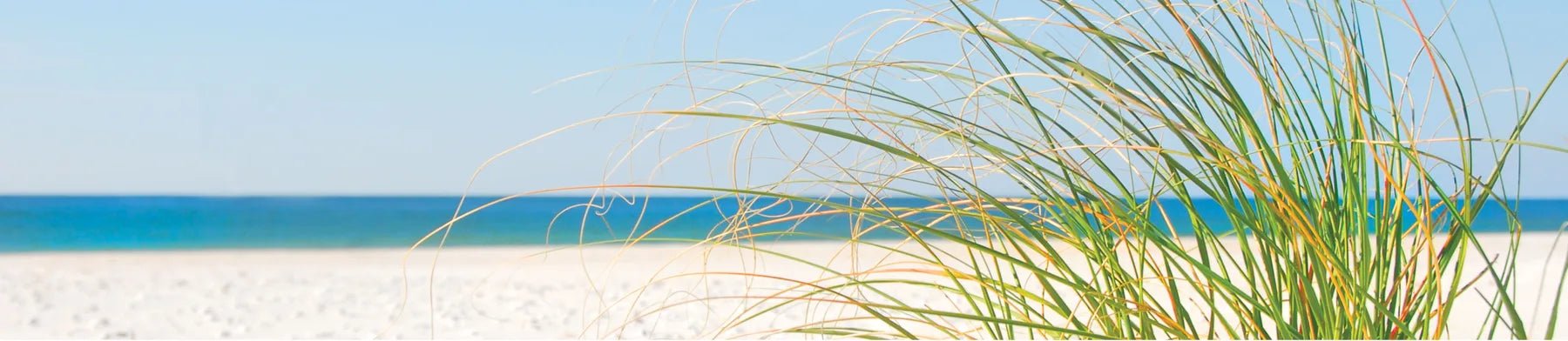 Badewannenrückwand Dünengras vor Meer - Schön und Wieder
