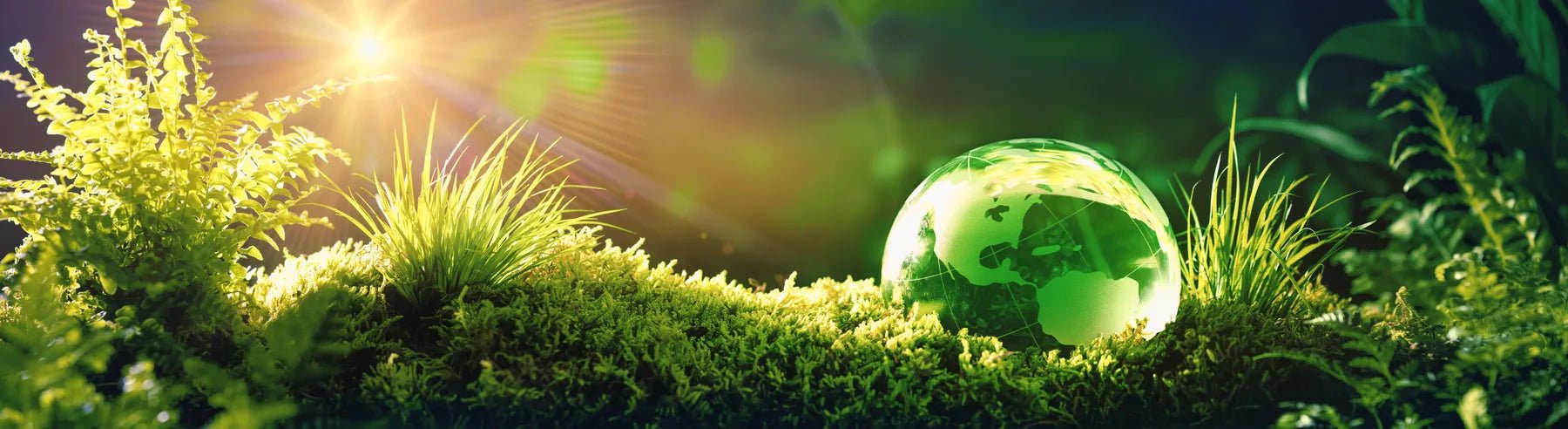 Badewannenrückwand Grüne Glaskugel auf Moos - Schön und Wieder