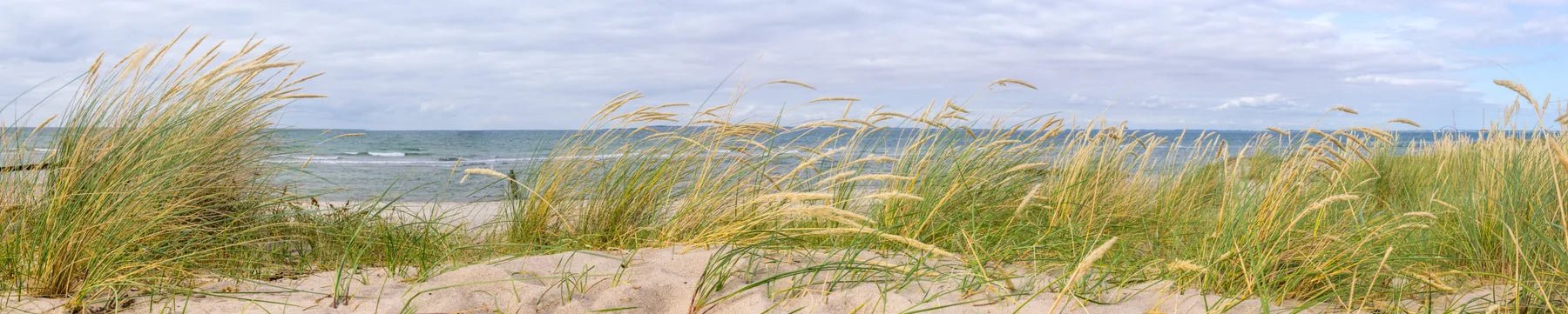 Badewannenrückwand Ostsee-Düne - Schön und Wieder