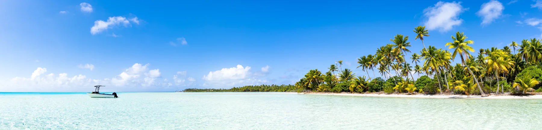 Badewannenrückwand Tropischer Traumstrand - Schön und Wieder