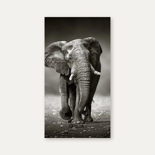 Duschrückwand Afrikanischer Elefant (Schwarzweiß)