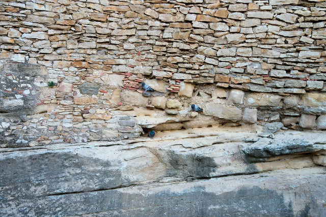 Duschrückwand Alte Steinmauer mit Tauben