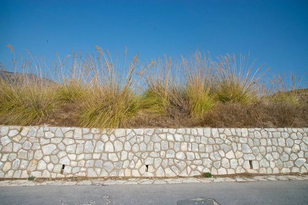 Duschrückwand Natursteinmauer mit Grasbüscheln