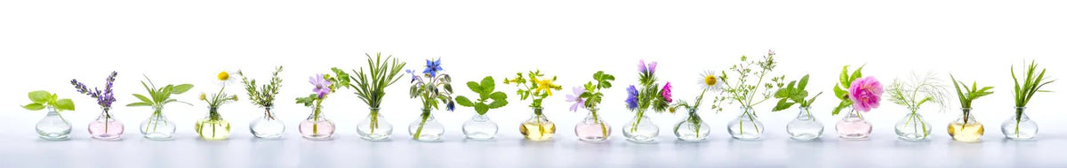 Küchenrückwand Blumen in Glasvasen Reihe - Schön und Wieder