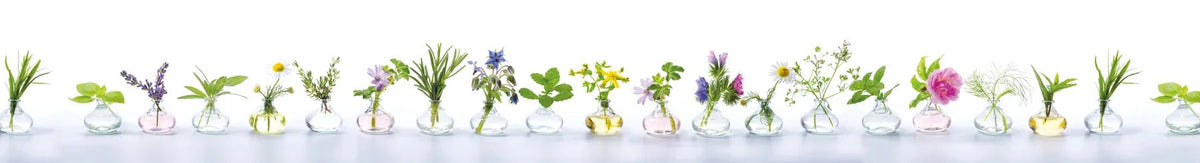 Küchenrückwand Blumen in Glasvasen Reihe (extralang) - Schön und Wieder