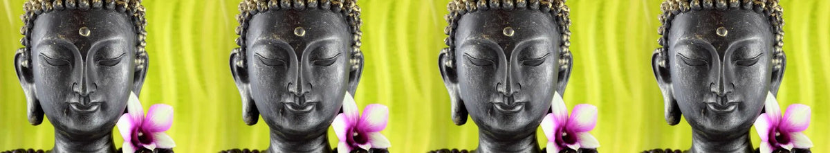 Küchenrückwand Buddha-Köpfe mit Orchidee auf Grün - Schön und Wieder