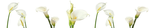 Küchenrückwand Calla-Blüten Reihe Extralang