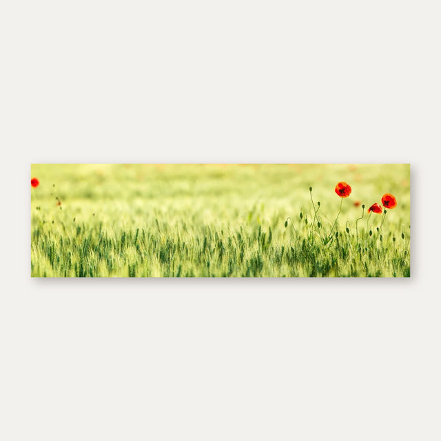Küchenrückwand Getreidefeld mit Mohnblumen