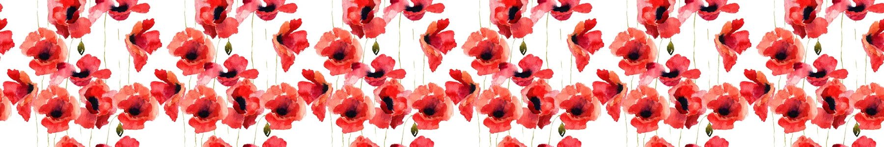 Küchenrückwand Mohnblumen - Schön und Wieder