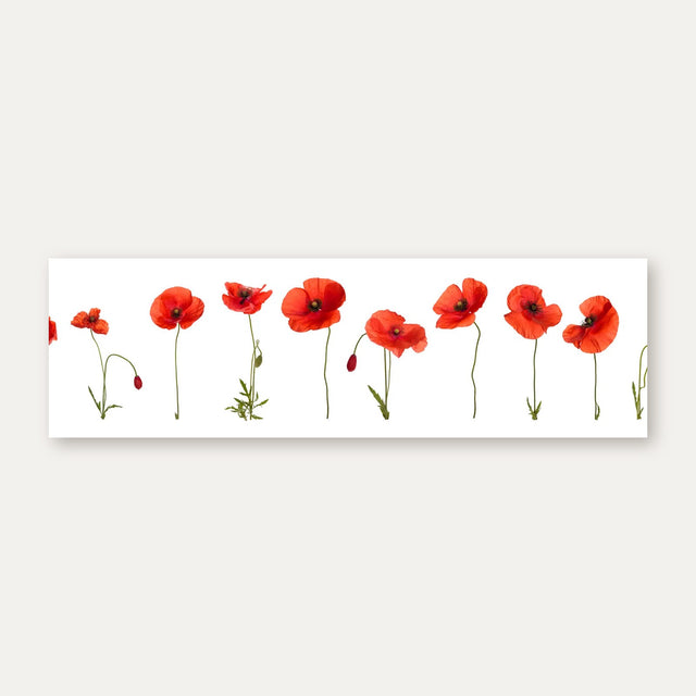 Küchenrückwand Mohnblumen in einer Reihe