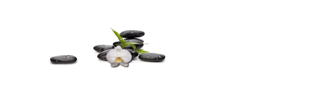 Küchenrückwand Zen-Steine mit Orchidee () - Schön und Wieder