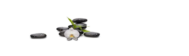 Küchenrückwand Zen-Steine mit Orchidee ()