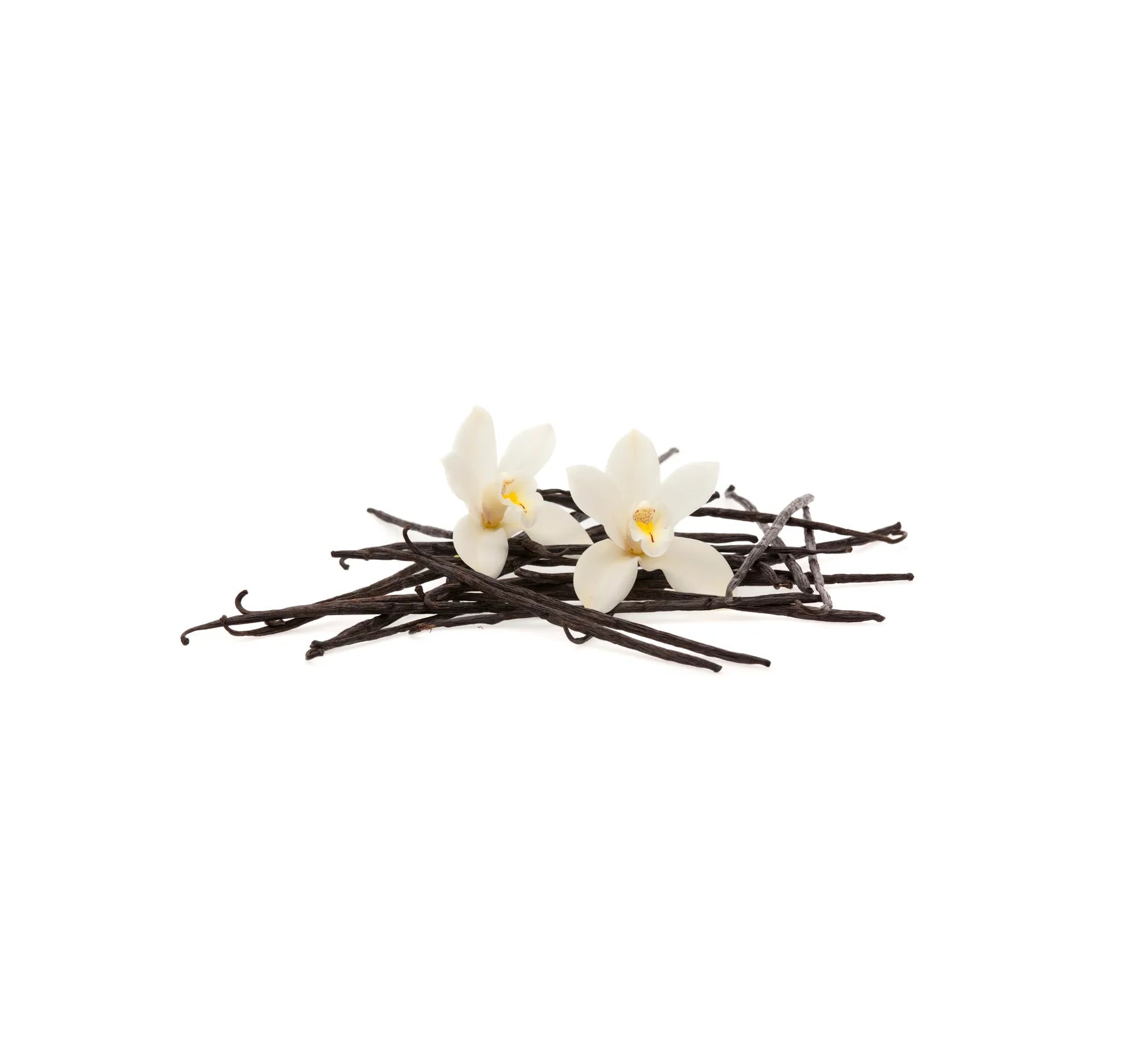 Spritzschutz Vanilleschoten mit Blüten - Schön und Wieder