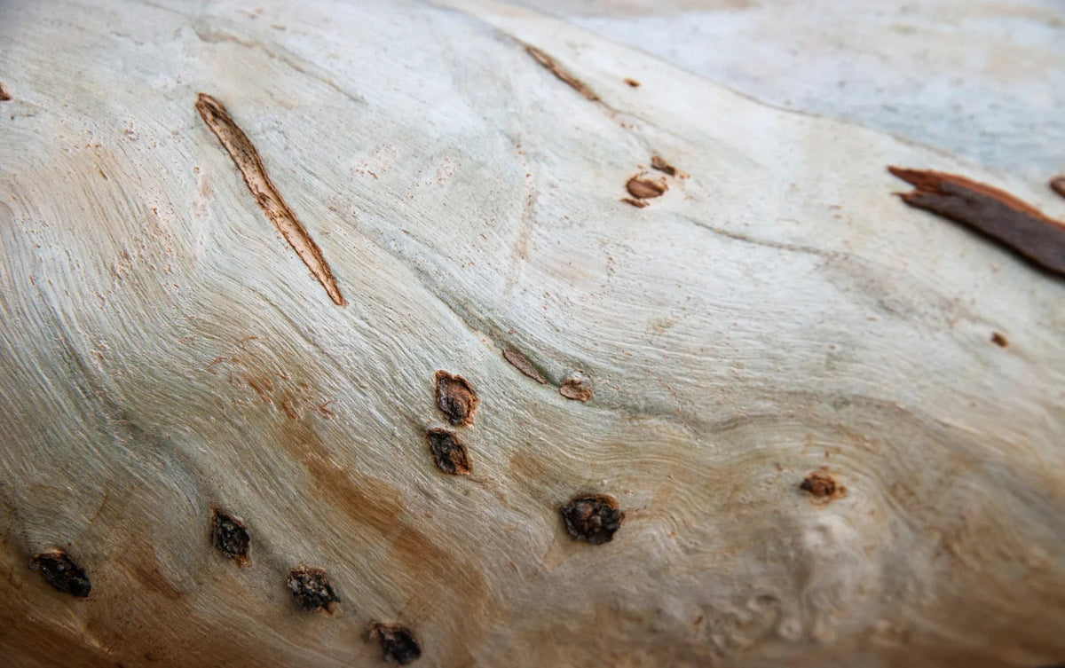 Waschbeckenrückwand Holzmaserung mit Astknoten - Schön und Wieder