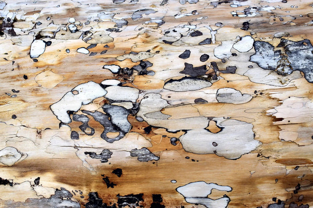 Waschbeckenrückwand Holzmaserung mit Flecken