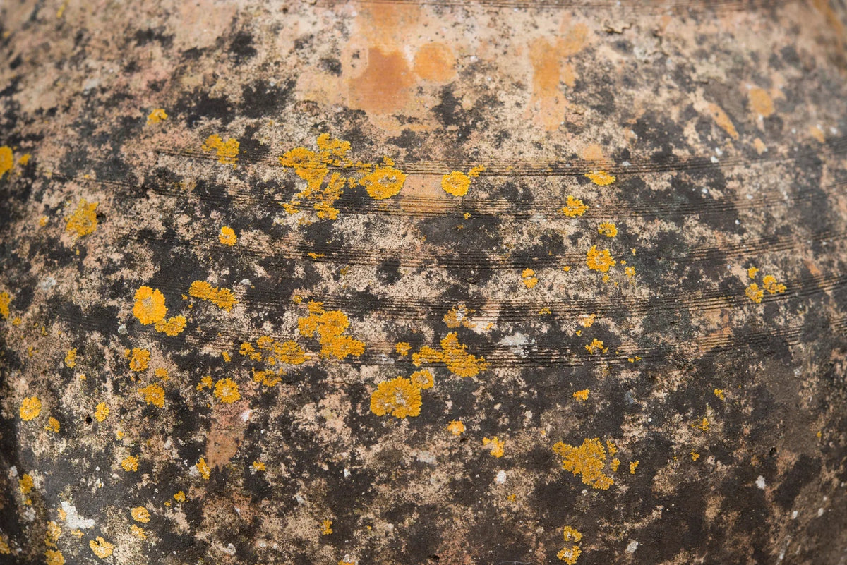 Waschbeckenrückwand Verwitterte Terracotta mit Flechten - Schön und Wieder