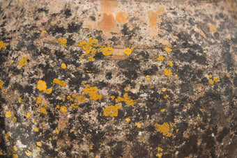 Waschbeckenrückwand Verwitterte Terracotta mit Flechten