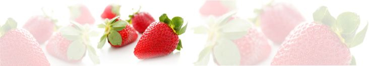 Rückwand, Frühlingsmotiv "Erdbeeren"
