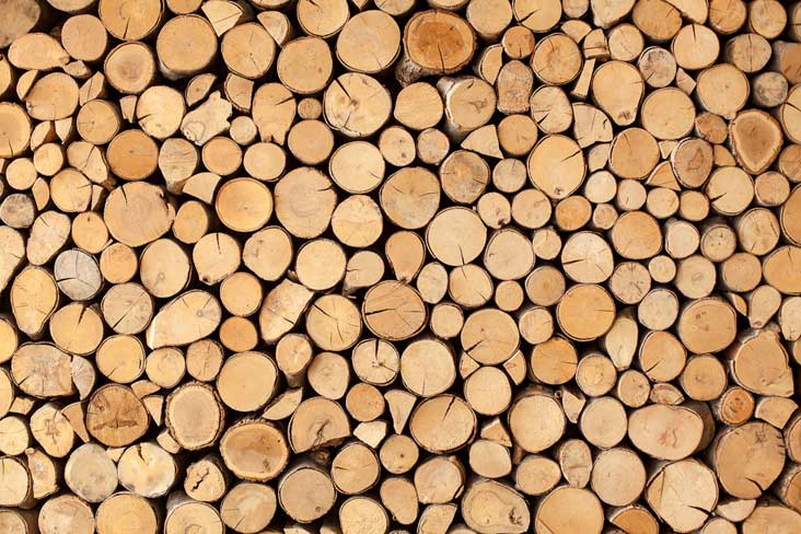 Feuerholz für den Holzofen