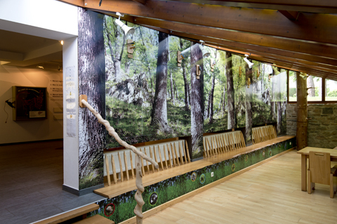 Waldmotiv-Rückwände in der Ausstellung Wildnis(t)räume in Vogelsang